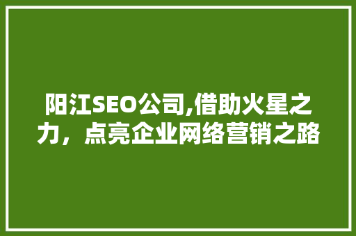 阳江SEO公司,借助火星之力，点亮企业网络营销之路