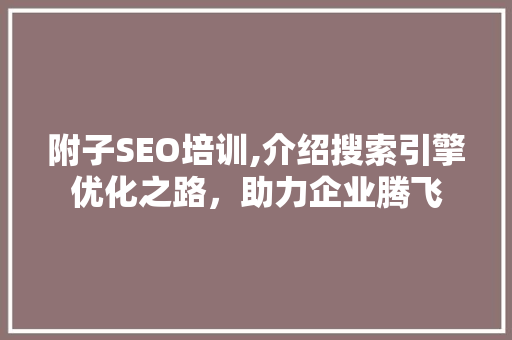 附子SEO培训,介绍搜索引擎优化之路，助力企业腾飞