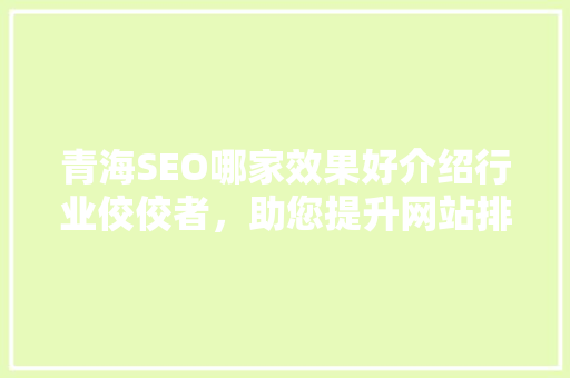 青海SEO哪家效果好介绍行业佼佼者，助您提升网站排名