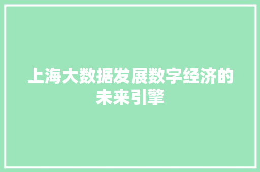 上海大数据发展数字经济的未来引擎