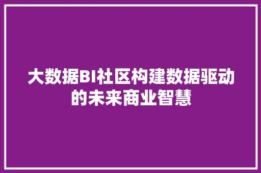 大数据BI社区构建数据驱动的未来商业智慧  第1张