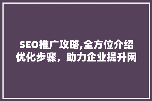 SEO推广攻略,全方位介绍优化步骤，助力企业提升网络竞争力