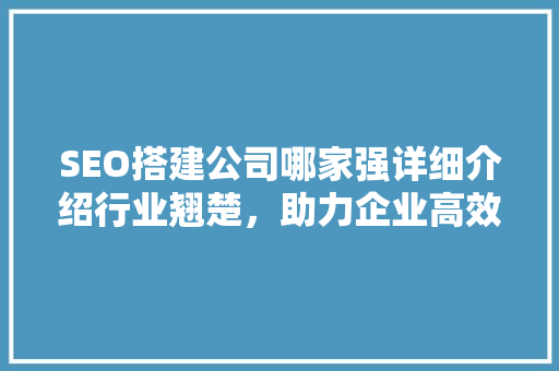SEO搭建公司哪家强详细介绍行业翘楚，助力企业高效营销
