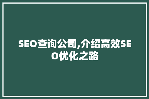 SEO查询公司,介绍高效SEO优化之路