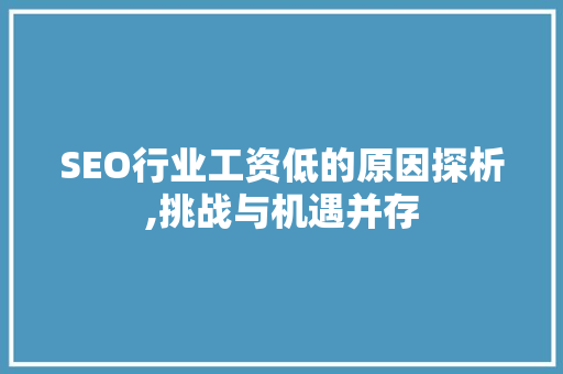 SEO行业工资低的原因探析,挑战与机遇并存