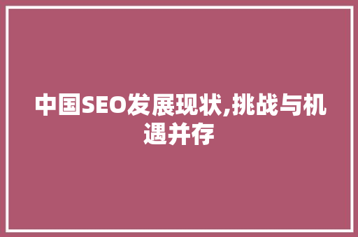 中国SEO发展现状,挑战与机遇并存