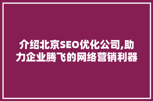 介绍北京SEO优化公司,助力企业腾飞的网络营销利器