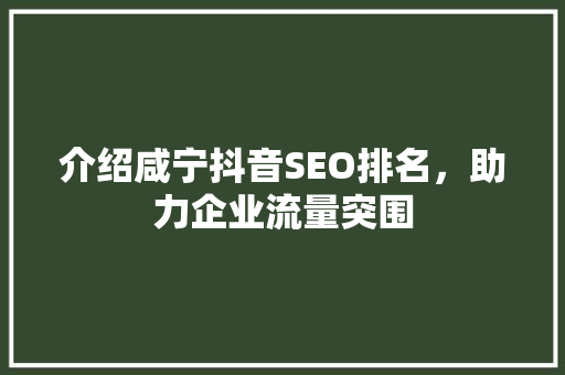 介绍咸宁抖音SEO排名，助力企业流量突围