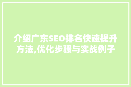 介绍广东SEO排名快速提升方法,优化步骤与实战例子