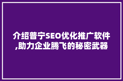 介绍普宁SEO优化推广软件,助力企业腾飞的秘密武器