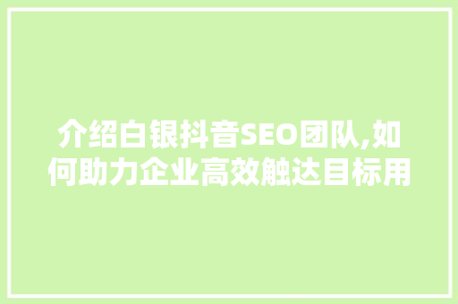 介绍白银抖音SEO团队,如何助力企业高效触达目标用户  第1张