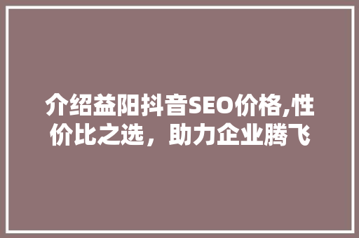 介绍益阳抖音SEO价格,性价比之选，助力企业腾飞