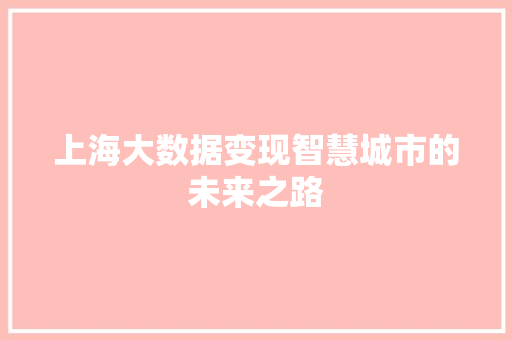 上海大数据变现智慧城市的未来之路