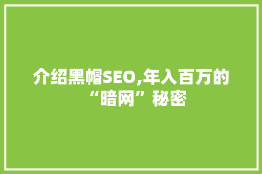 介绍黑帽SEO,年入百万的“暗网”秘密
