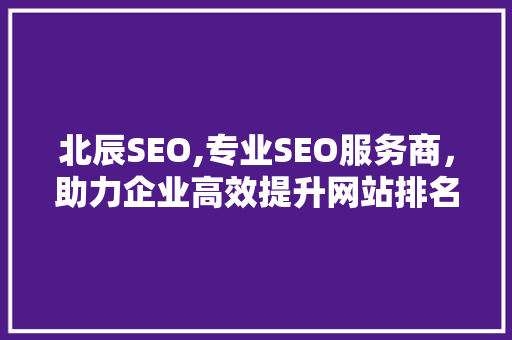 北辰SEO,专业SEO服务商，助力企业高效提升网站排名  第1张