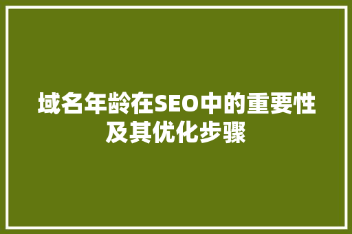 域名年龄在SEO中的重要性及其优化步骤