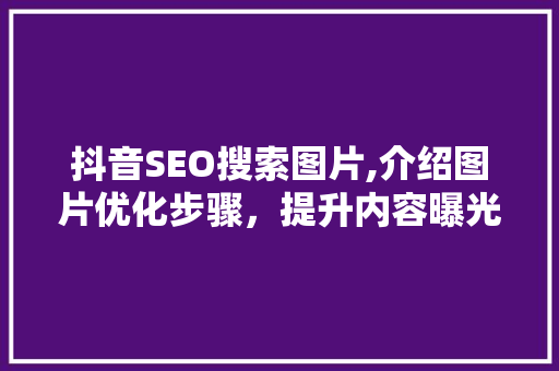 抖音SEO搜索图片,介绍图片优化步骤，提升内容曝光率