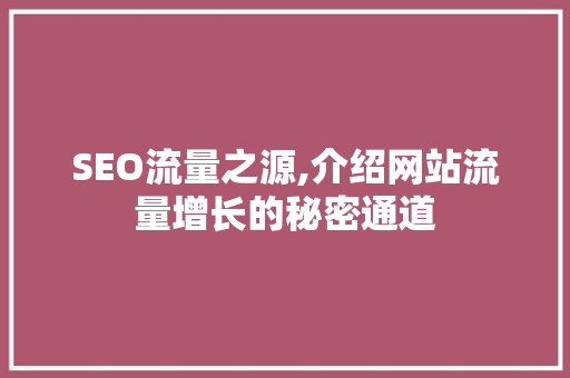 SEO流量之源,介绍网站流量增长的秘密通道