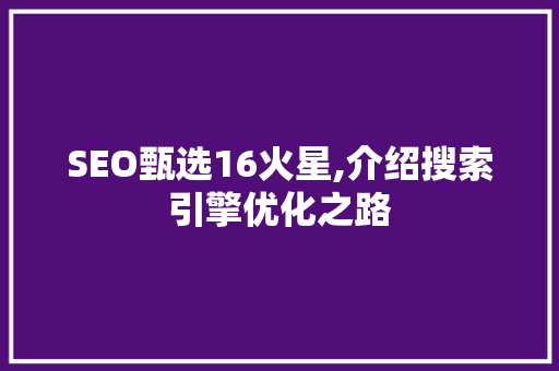 SEO甄选16火星,介绍搜索引擎优化之路