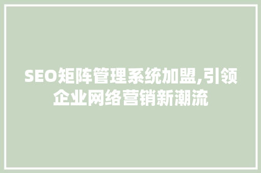 SEO矩阵管理系统加盟,引领企业网络营销新潮流