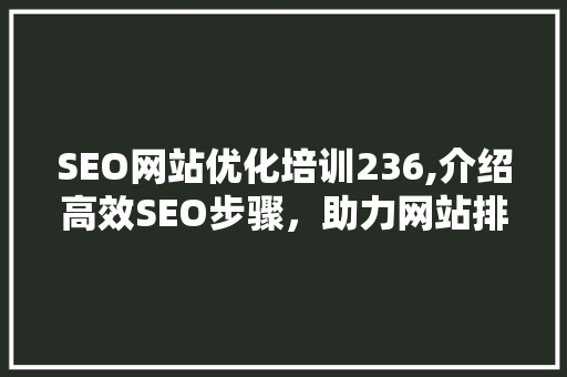 SEO网站优化培训236,介绍高效SEO步骤，助力网站排名飙升
