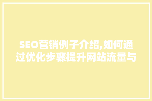SEO营销例子介绍,如何通过优化步骤提升网站流量与转化率