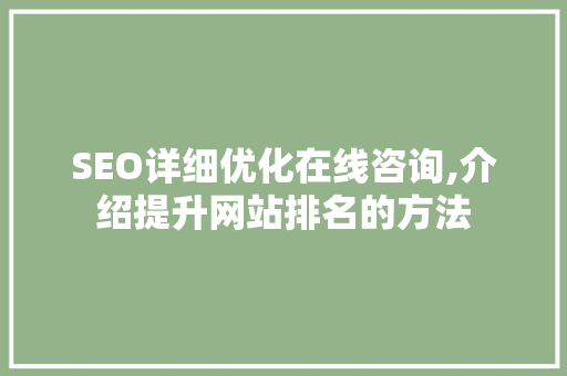 SEO详细优化在线咨询,介绍提升网站排名的方法