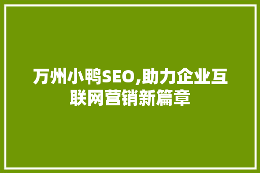 万州小鸭SEO,助力企业互联网营销新篇章