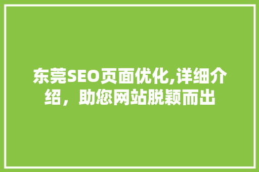 东莞SEO页面优化,详细介绍，助您网站脱颖而出