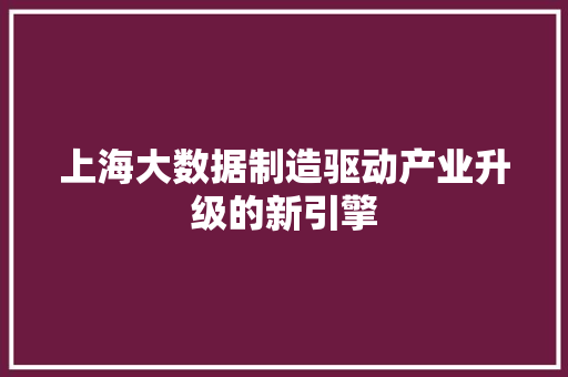 上海大数据制造驱动产业升级的新引擎