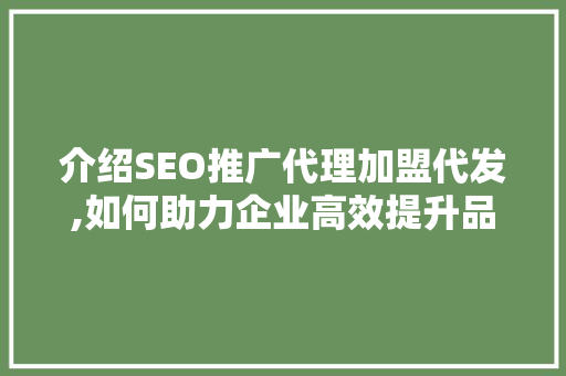 介绍SEO推广代理加盟代发,如何助力企业高效提升品牌知名度