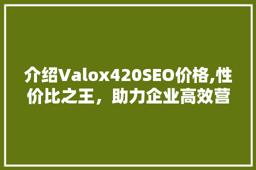 介绍Valox420SEO价格,性价比之王，助力企业高效营销