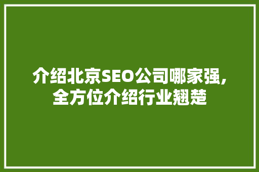 介绍北京SEO公司哪家强,全方位介绍行业翘楚
