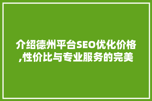 介绍德州平台SEO优化价格,性价比与专业服务的完美结合  第1张