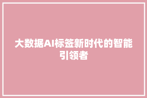 大数据AI标签新时代的智能引领者  第1张