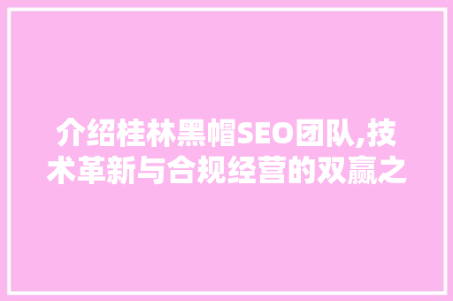 介绍桂林黑帽SEO团队,技术革新与合规经营的双赢之路