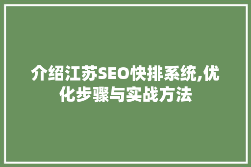 介绍江苏SEO快排系统,优化步骤与实战方法