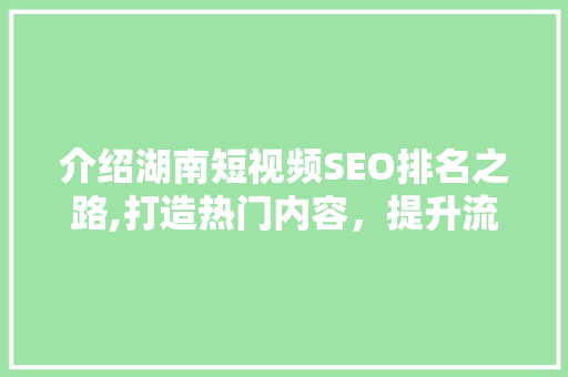 介绍湖南短视频SEO排名之路,打造热门内容，提升流量方法