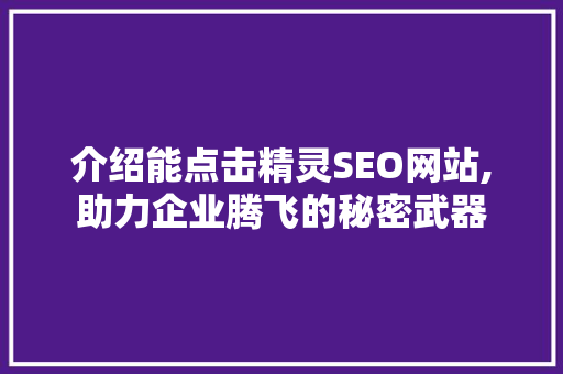 介绍能点击精灵SEO网站,助力企业腾飞的秘密武器