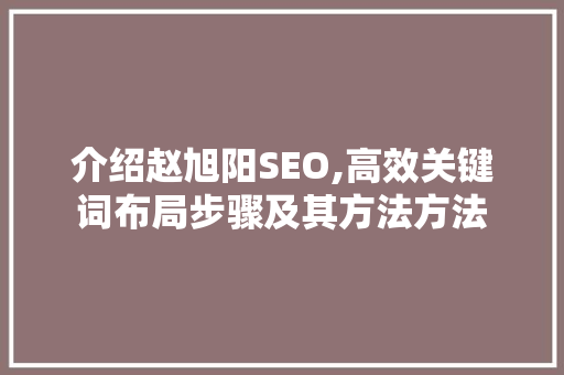 介绍赵旭阳SEO,高效关键词布局步骤及其方法方法  第1张