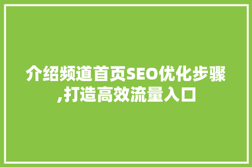 介绍频道首页SEO优化步骤,打造高效流量入口