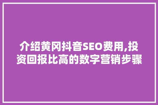 介绍黄冈抖音SEO费用,投资回报比高的数字营销步骤
