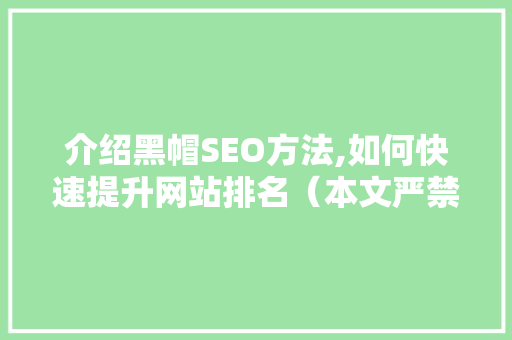 介绍黑帽SEO方法,如何快速提升网站排名（本文严禁用于非法目的）  第1张