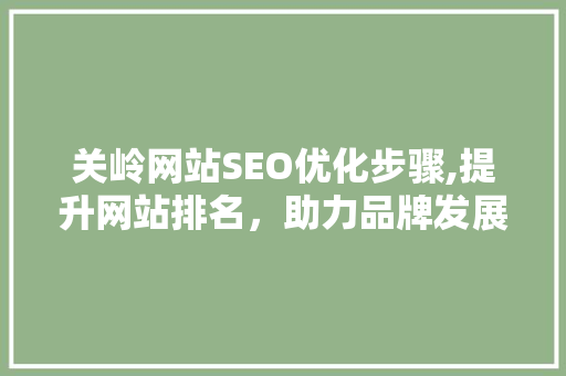 关岭网站SEO优化步骤,提升网站排名，助力品牌发展