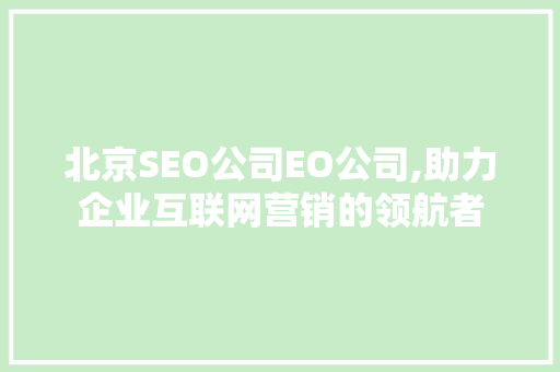 北京SEO公司EO公司,助力企业互联网营销的领航者