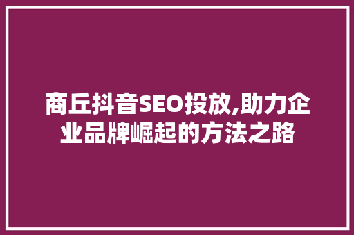 商丘抖音SEO投放,助力企业品牌崛起的方法之路