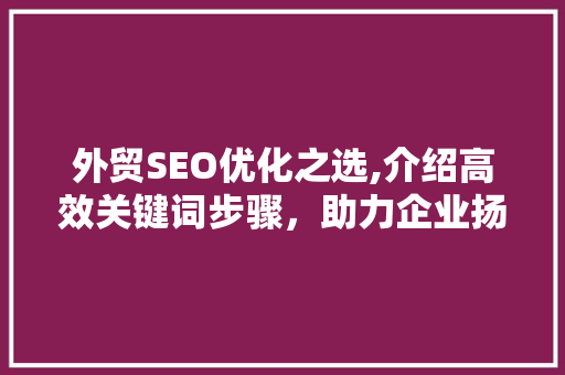 外贸SEO优化之选,介绍高效关键词步骤，助力企业扬帆出海