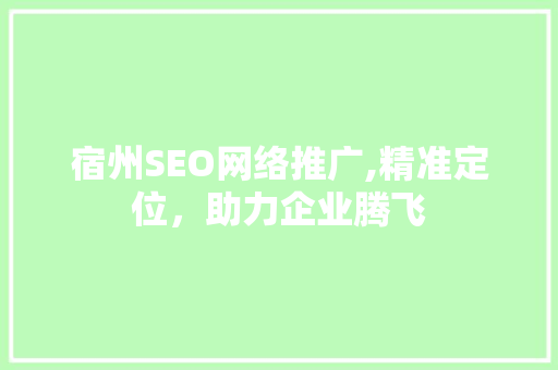 宿州SEO网络推广,精准定位，助力企业腾飞