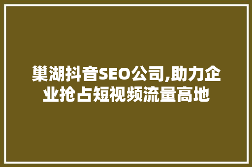 巢湖抖音SEO公司,助力企业抢占短视频流量高地