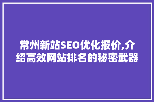 常州新站SEO优化报价,介绍高效网站排名的秘密武器